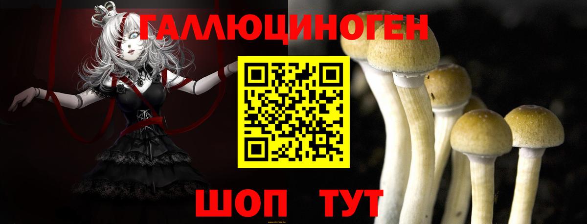 Галлюциногенные грибы Magic Shrooms Минусинск